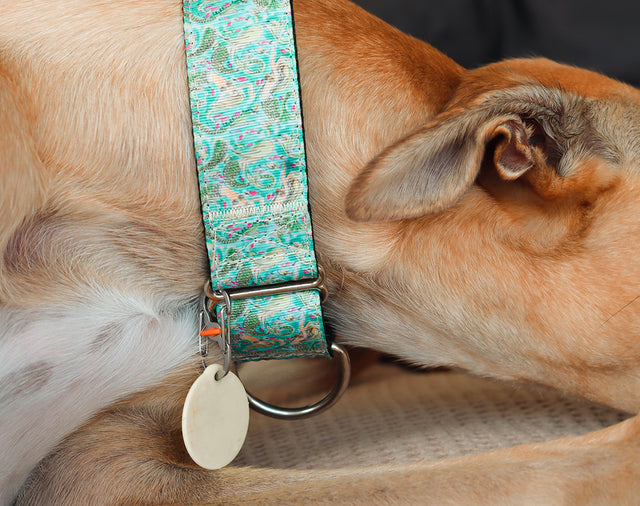 Dog Tag Clips - Black/Silver