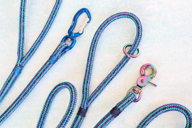 Trigger Clip Rope Leash - Galactic