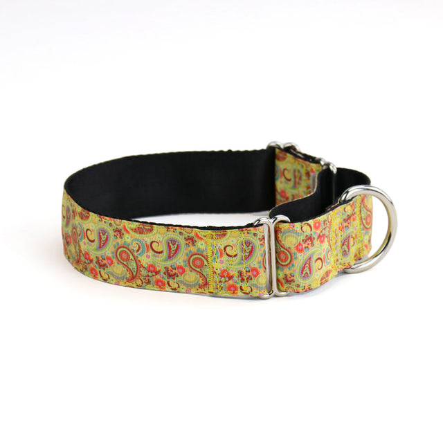Golden Paisley Martingale Dog Collar