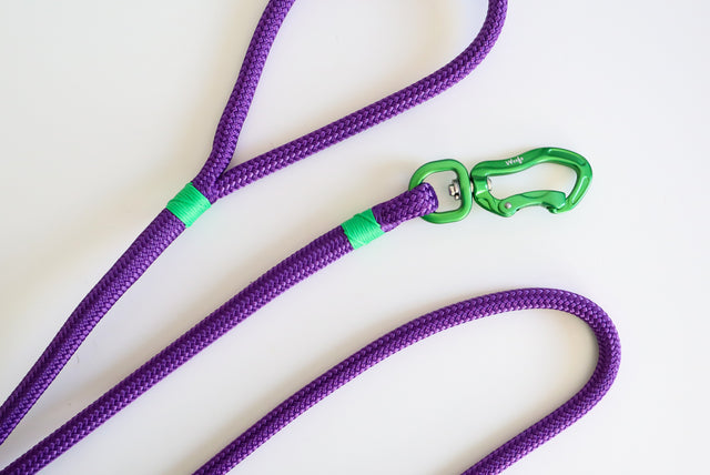 Green & Purple Rope Dog leash