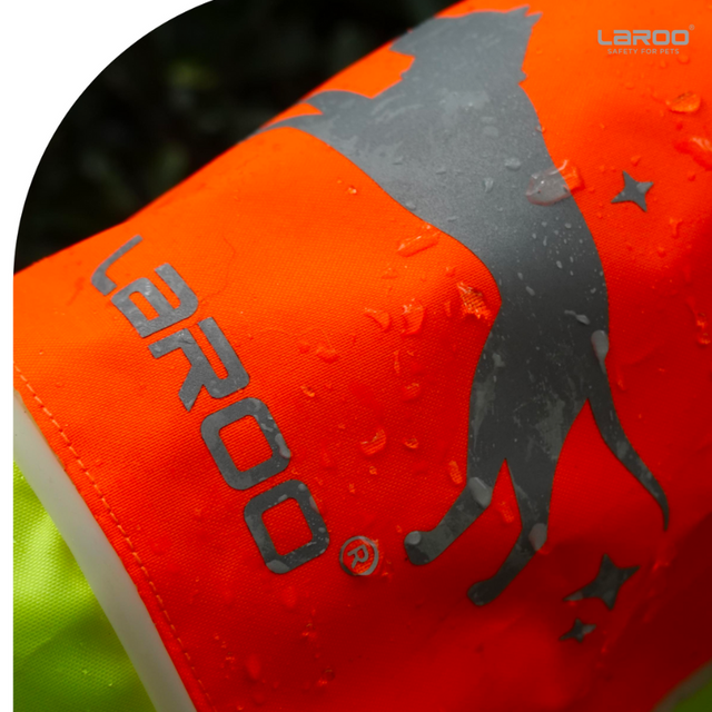Laroo | LED Light Up Dog Safety Vest