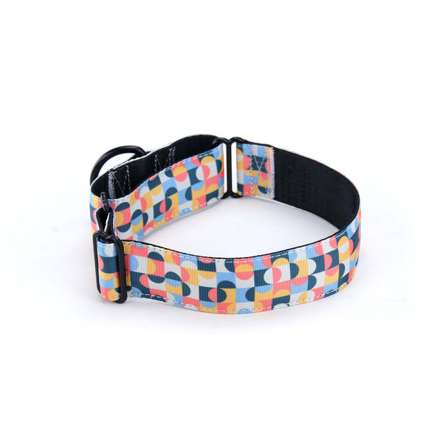 Mid-century Martingale Dog Collar