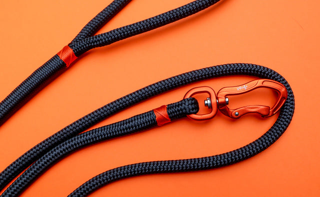 Orange & Black Rope Leash