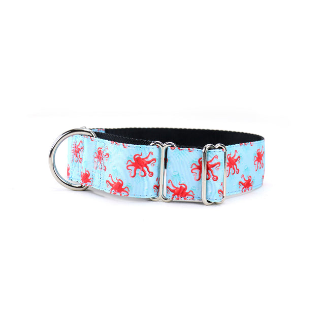 Sea-legs Martingale Dog Collar