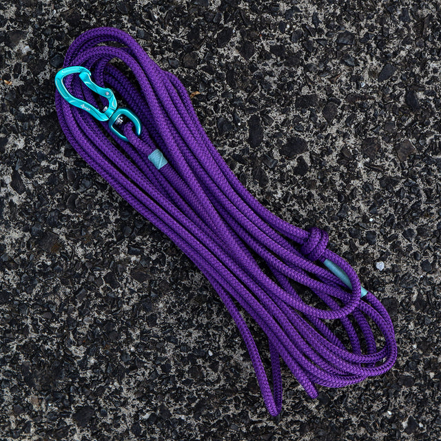 Dog recall long line - dog lead