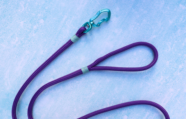 Teal & Purple Rope Dog leash