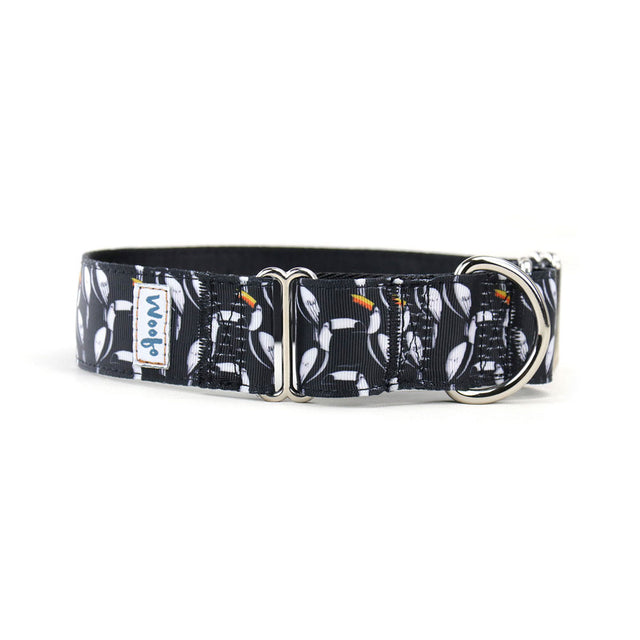 Toucans Martingale Dog Collar