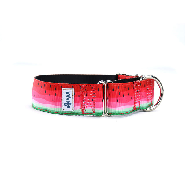 Watermelon Martingale Dog Collar