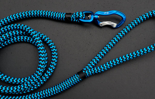 Zippy Blue Rope Leash