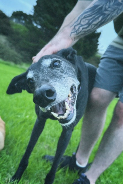 I'll See You in the Park Shortly