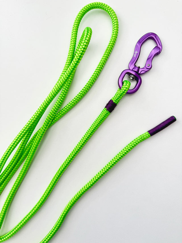 3m Scent Work Lead