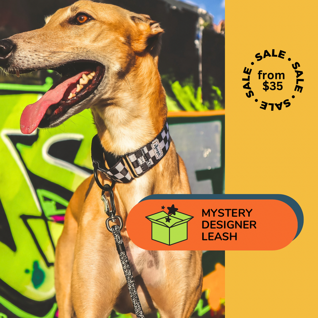 1 x Mystery Designer Leash | Aluminium Carabiner