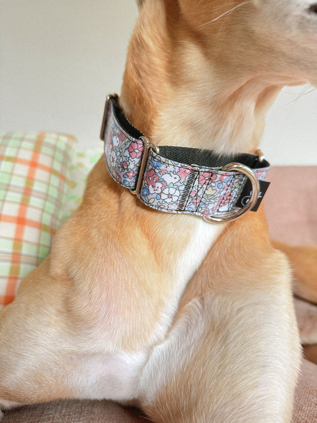 Bunny Blooms Martingale Dog Collar