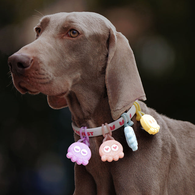 Laroo | Candy Octopus Dog Safety Light