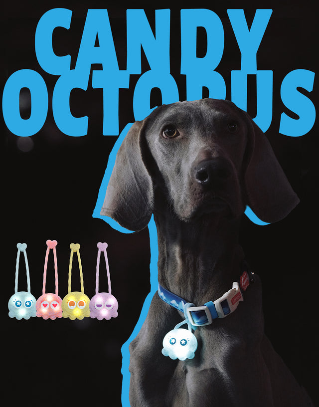 Laroo | Candy Octopus Dog Safety Light