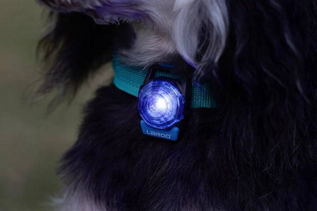 Laroo | Dog Safety Beacon Light | NEW
