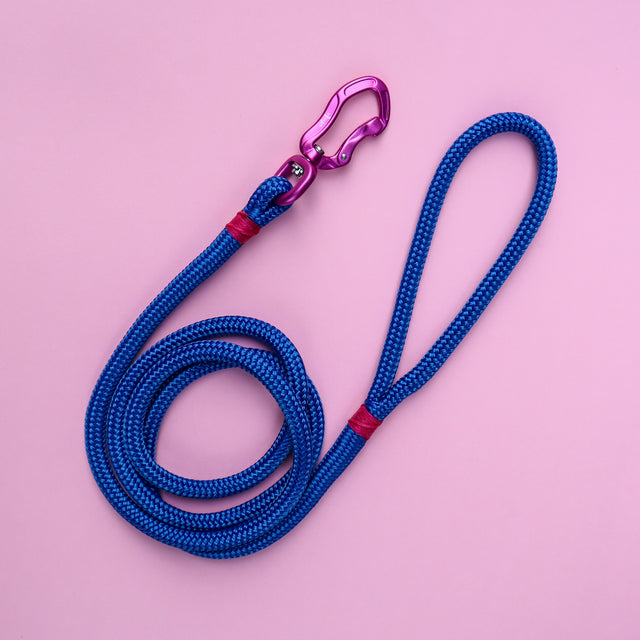 Pink & Electric Blue Rope Dog Leash