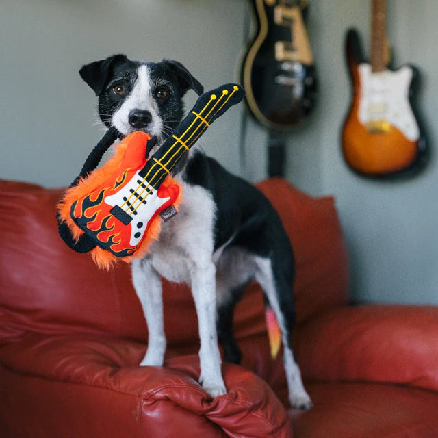 A dog holding a plush toy shaped like a classic electric guitar with a flame design.