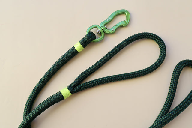 Dark Green dog leash with a green carabiner on a beige background