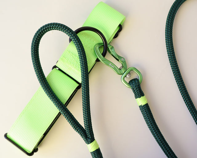 Forest Green Rope Leash - Neo Yellow Accent