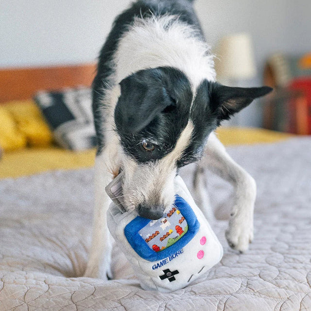 P.L.A.Y. 90S Classic | Game Bone Dog Toy