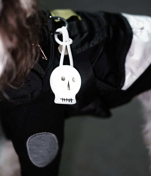 Laroo | Spooky Skeleton Dog Safety Light