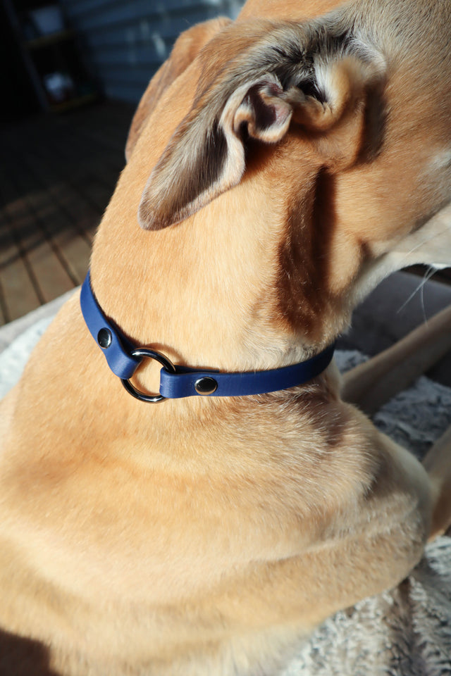 BioThane® Slip-On ID Tag Collar - Navy