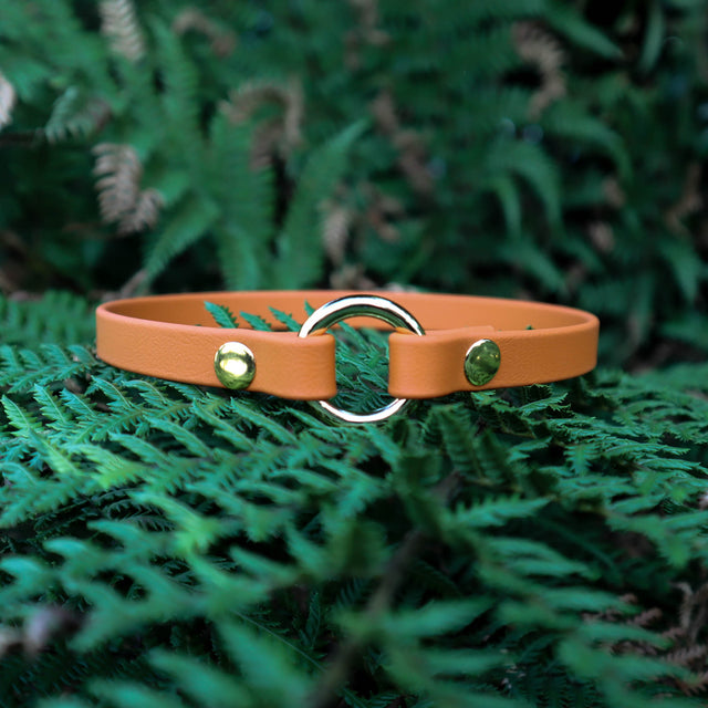BioThane® Slip-On ID Tag Collar - Burnt Orange