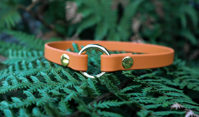 BioThane® Slip-On ID Tag Collar - Burnt Orange