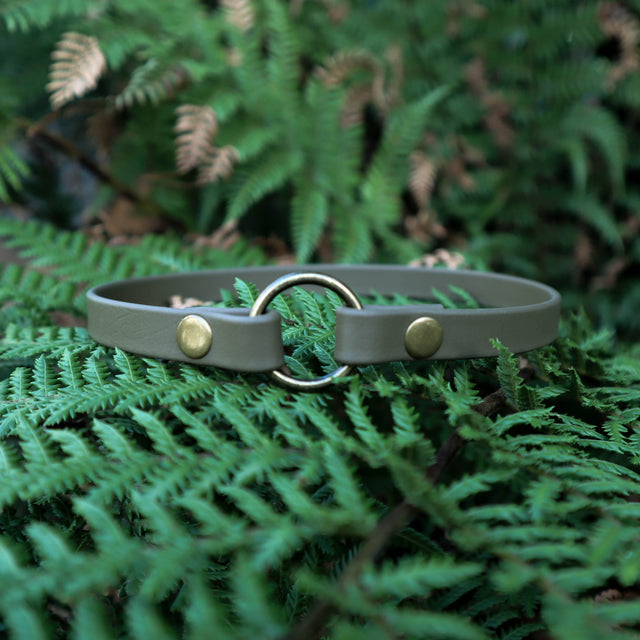 BioThane® Slip-On ID Tag Collar - Olive