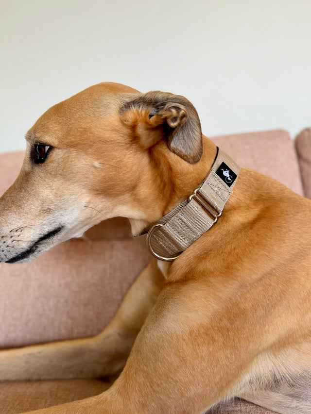 Adventure Martingale Collar - Sand