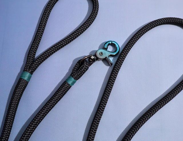 Gradient Trigger Clip Rope Leash - Black