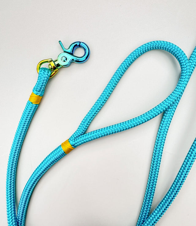 Gradient Trigger Clip Rope Leash - Turquoise