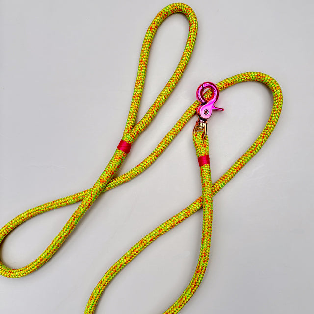 Gradient Trigger Clip Rope Leash - Macadamia