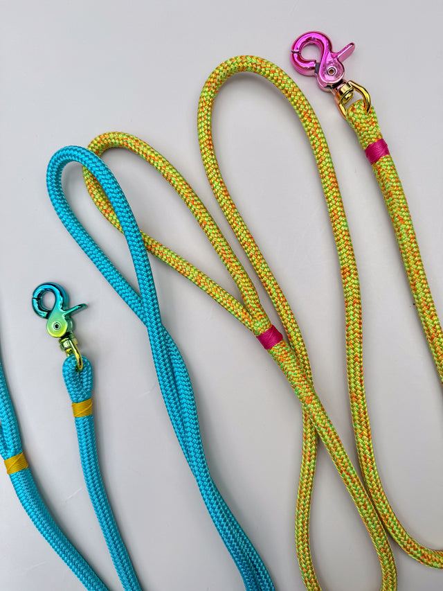 Gradient Trigger Clip Rope Leash - Macadamia