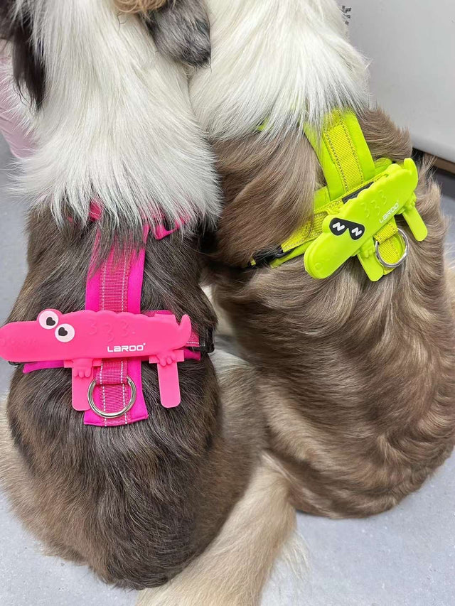 Laroo | Little Crocodile Dog Safety Light