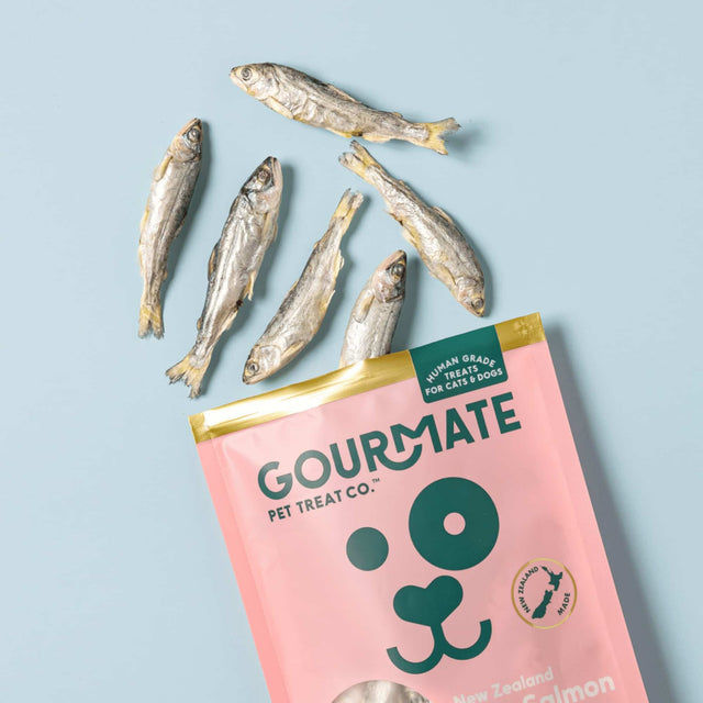 Gourmate | King Salmon Smolt (Suitable for Cats and Dogs)