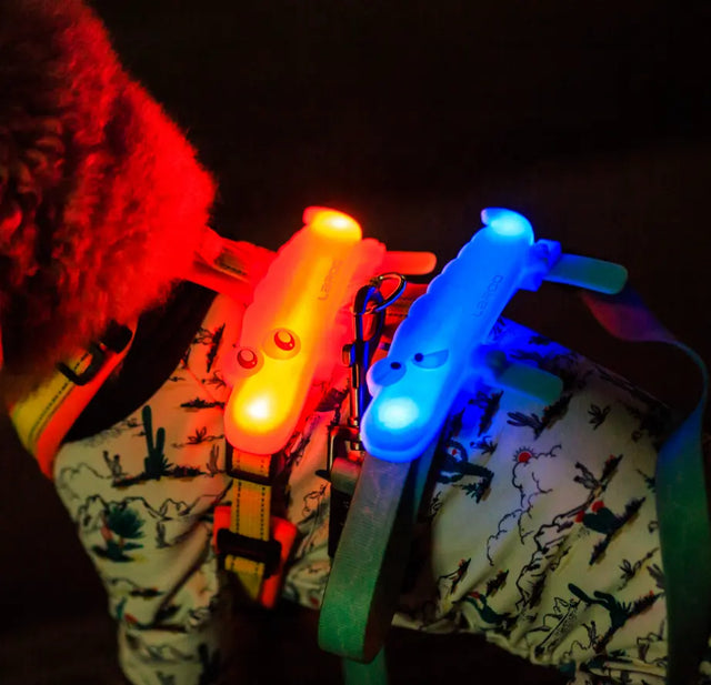 Laroo | Little Crocodile Dog Safety Light