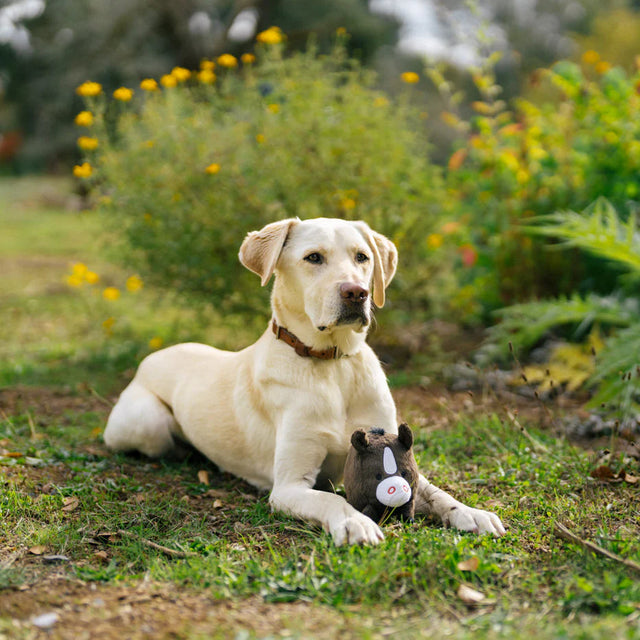 P.L.A.Y. Barnyard Buddies | Harley the Horse