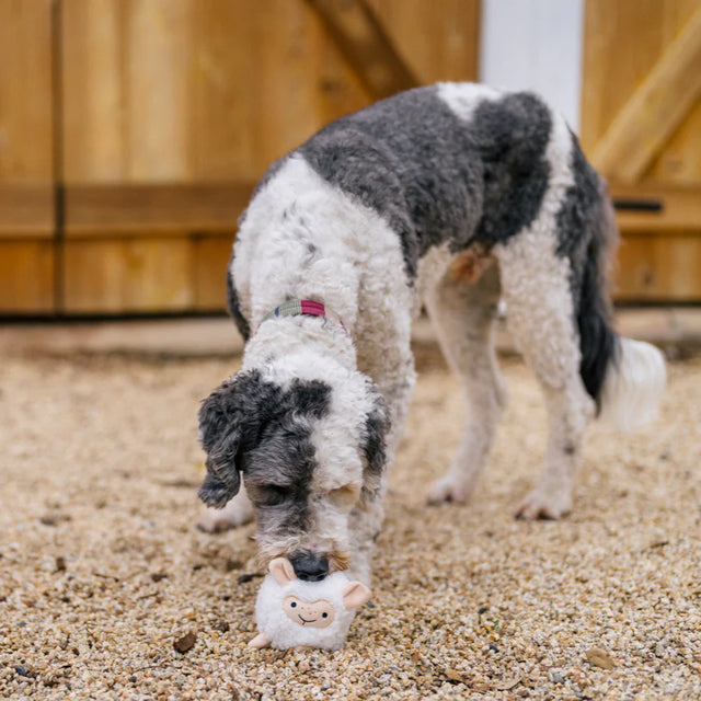 P.L.A.Y. Barnyard Buddies | Sadie the Sheep