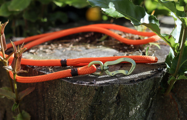 Olive & Burnt Orange Rope Leash