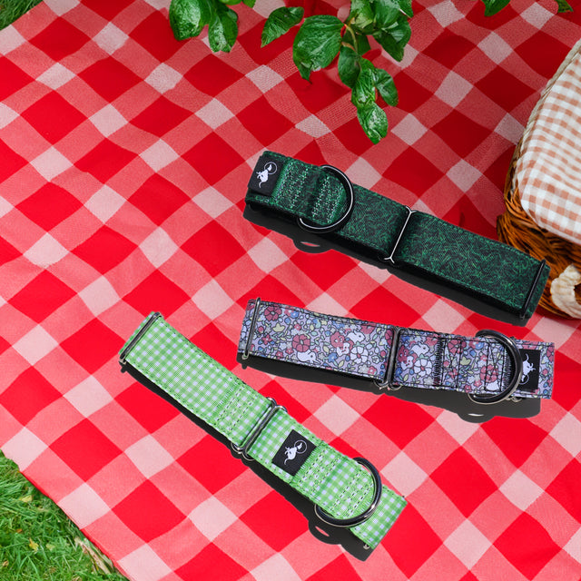 Grass Martingale Dog Collar