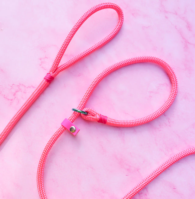 Slip Leash