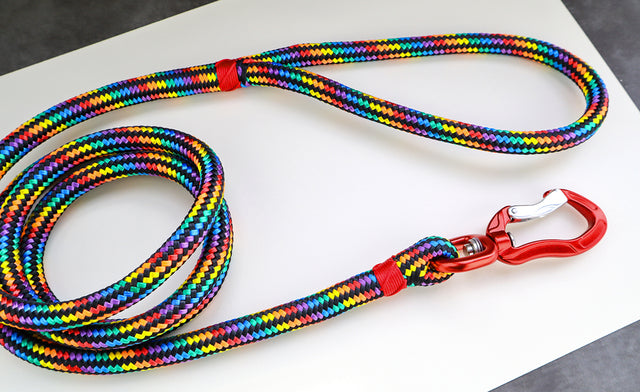 Black Rainbow Rope Leash - Red