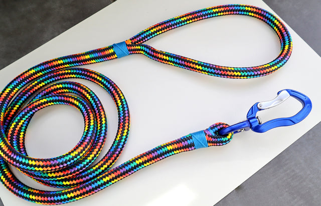 Black Rainbow Rope Leash - Blue