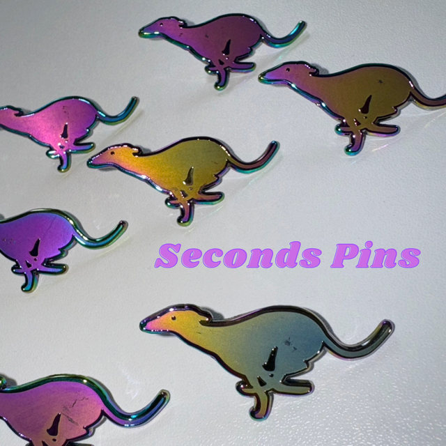 SECONDS | Zoomie Enamel Pin