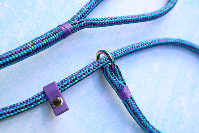 Slip Leash