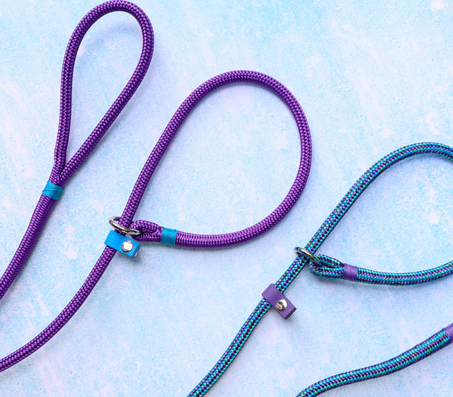 Slip Leash