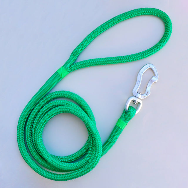 Silver and Green Rope Leash