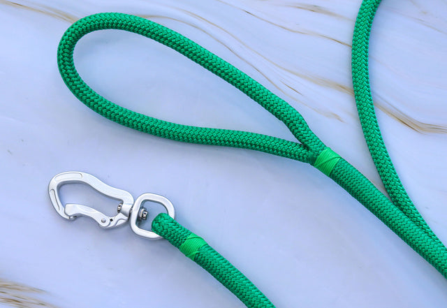 Silver and Green Rope Leash